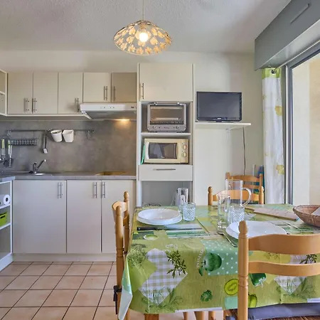 T1bis Lumineux Avec Balcon Sud Et Wifi - Fr-1-841-41 Appartement *